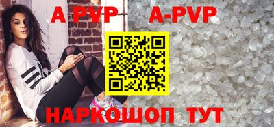 индика Сланцы
