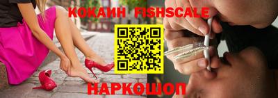 индика Сланцы