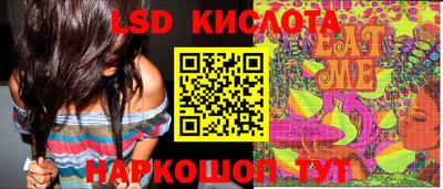 индика Сланцы