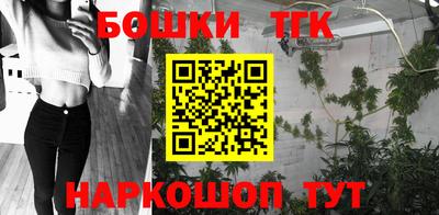 индика Сланцы