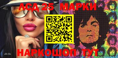 индика Сланцы