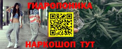 индика Сланцы