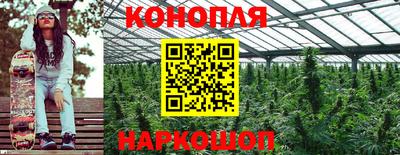 гидропоника Славгород
