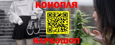 индика Сланцы