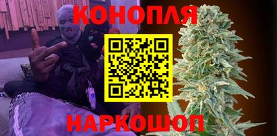 индика Сланцы