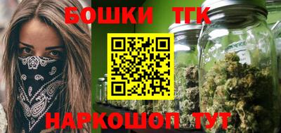 индика Сланцы