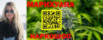индика Сланцы