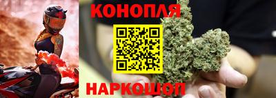 гидропоника Славгород