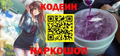 индика Сланцы
