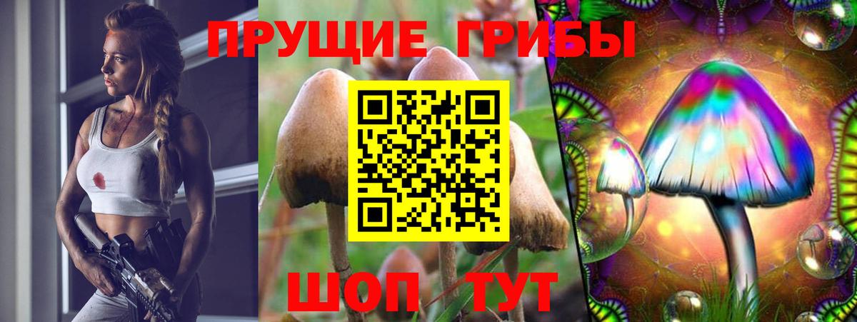 Галлюциногенные грибы Psilocybe  Вход с VPN  Тулун 